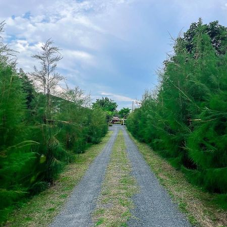 North Pine Forest Homestay บ้านไม้สนโฮมสเตย์ Ban Mae Pong Екстер'єр фото