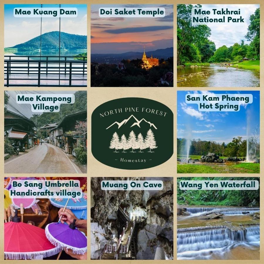 North Pine Forest Homestay บ้านไม้สนโฮมสเตย์ Ban Mae Pong Екстер'єр фото