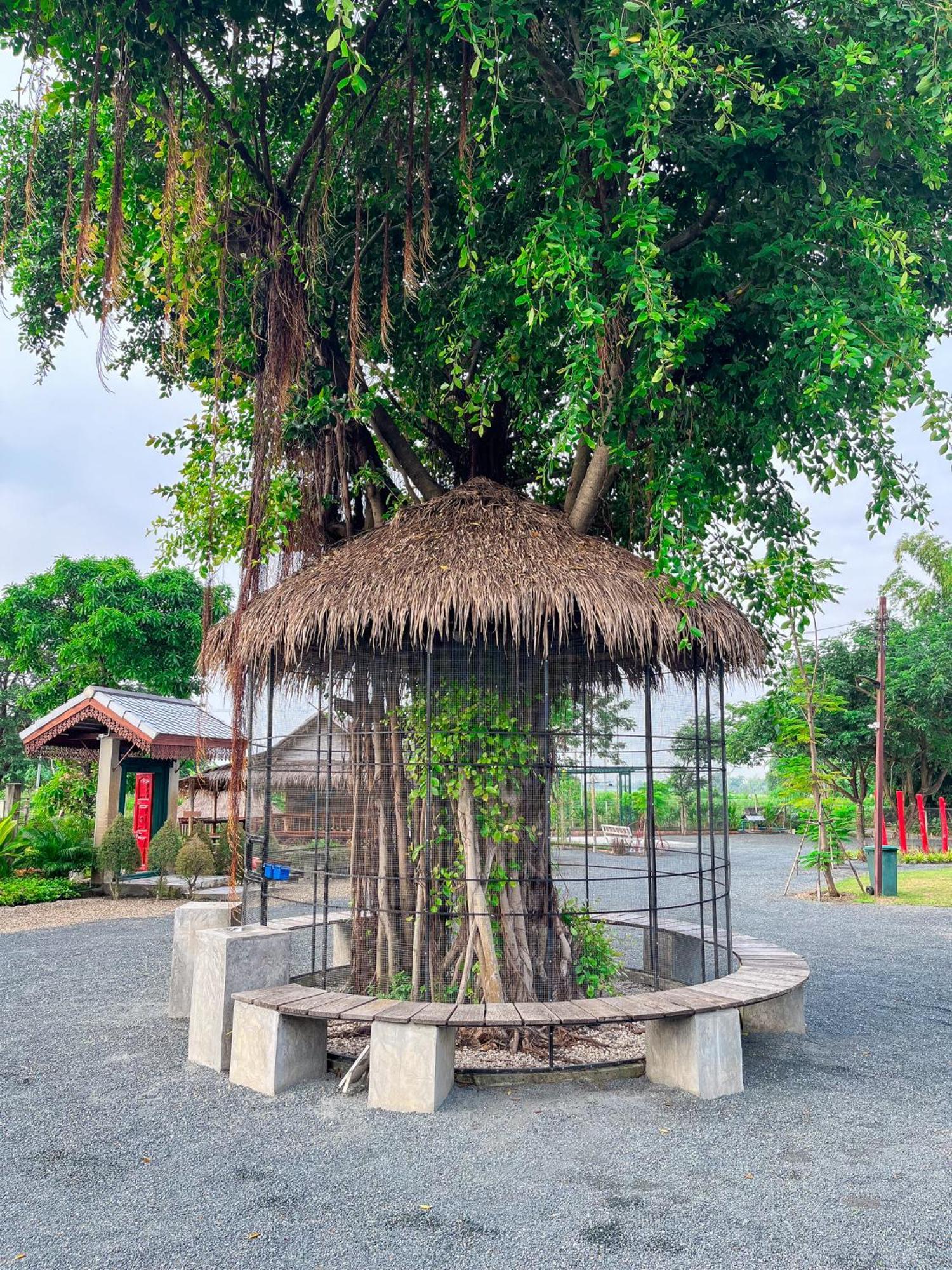 North Pine Forest Homestay บ้านไม้สนโฮมสเตย์ Ban Mae Pong Екстер'єр фото