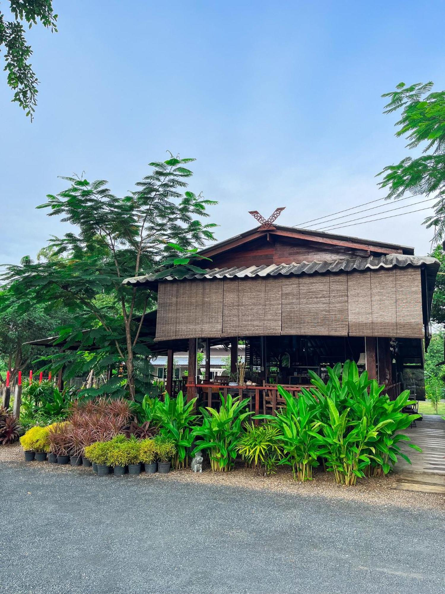 North Pine Forest Homestay บ้านไม้สนโฮมสเตย์ Ban Mae Pong Екстер'єр фото