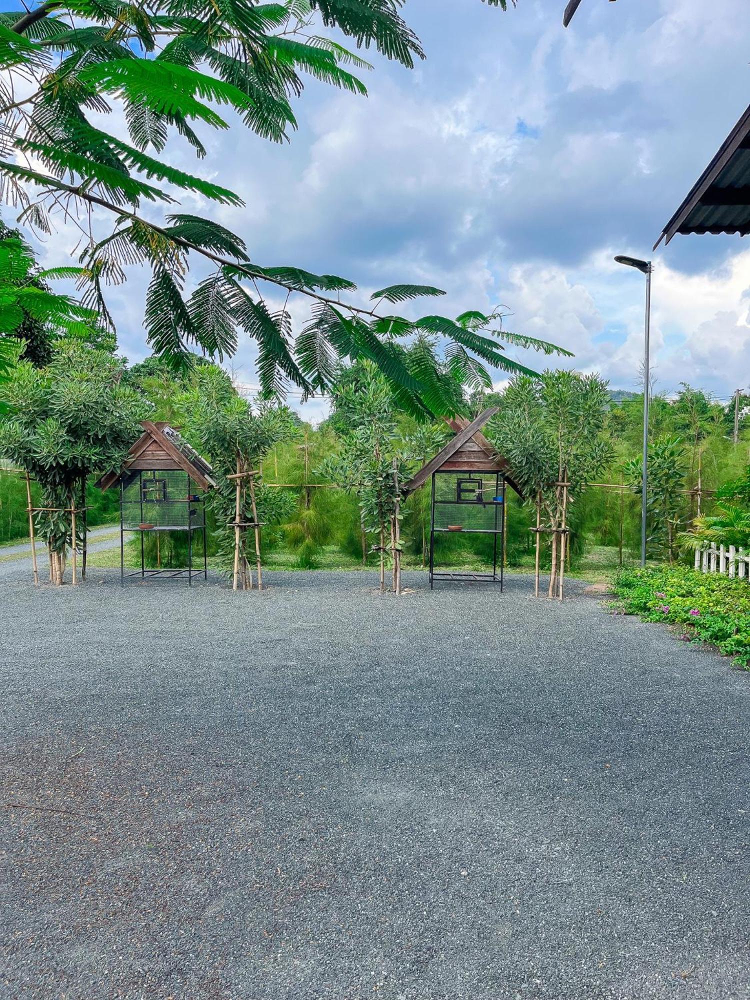 North Pine Forest Homestay บ้านไม้สนโฮมสเตย์ Ban Mae Pong Екстер'єр фото
