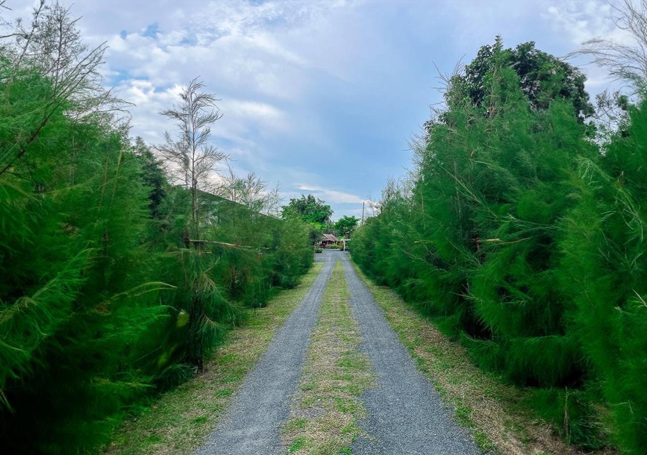 North Pine Forest Homestay บ้านไม้สนโฮมสเตย์ Ban Mae Pong Екстер'єр фото