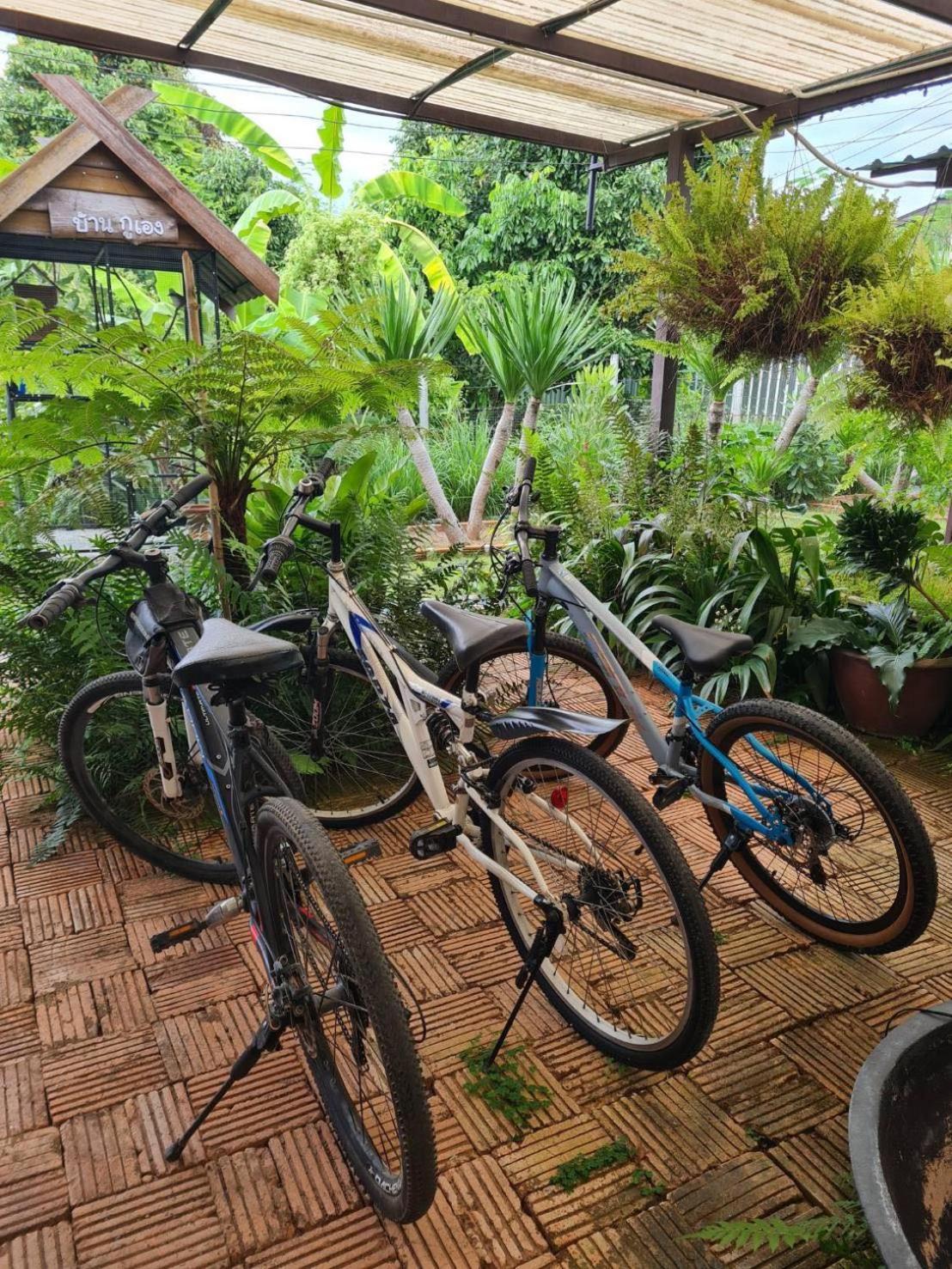 North Pine Forest Homestay บ้านไม้สนโฮมสเตย์ Ban Mae Pong Екстер'єр фото